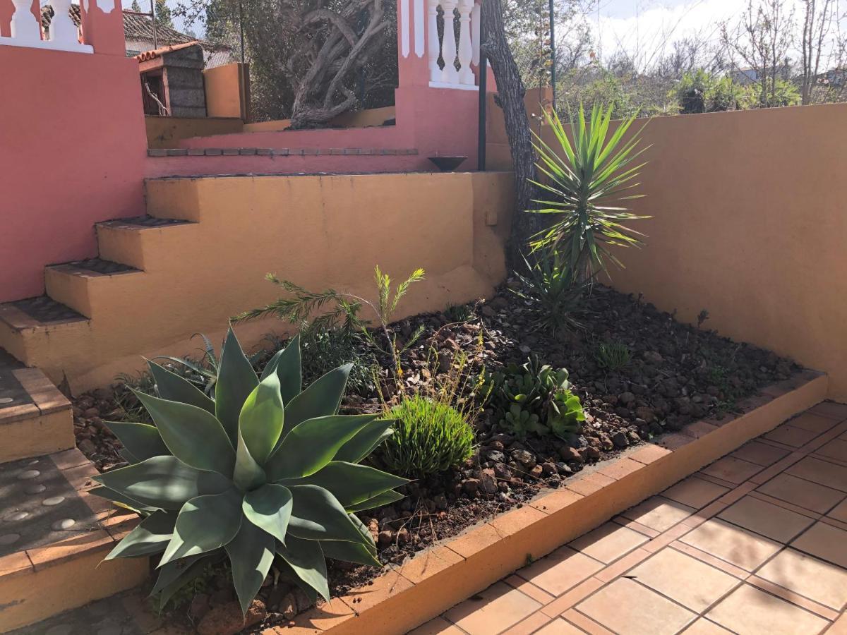Casa Cesar Villa Puntagorda Екстериор снимка